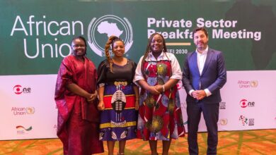 $100 Billion Investment Agenda: The African Union, GIZ, Sterling One Foundation Rally Private Sector to Invest in Africa's Women and Youth