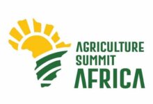 Sterling Bank Leads Africa’s Green Revolution
