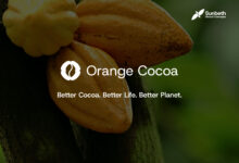 Sunbeth Global Concepts Pledges to Train 100,000 Farmers by 2040 Under New Orange Cocoa Sustainability Framework