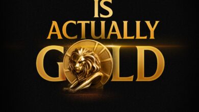 Cannes Lions Gold Win Reinforces Insight Redefini's Vision for World-Class African Creativity