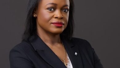 The Person on the Other End of the Line - Olufunmilola Aluko